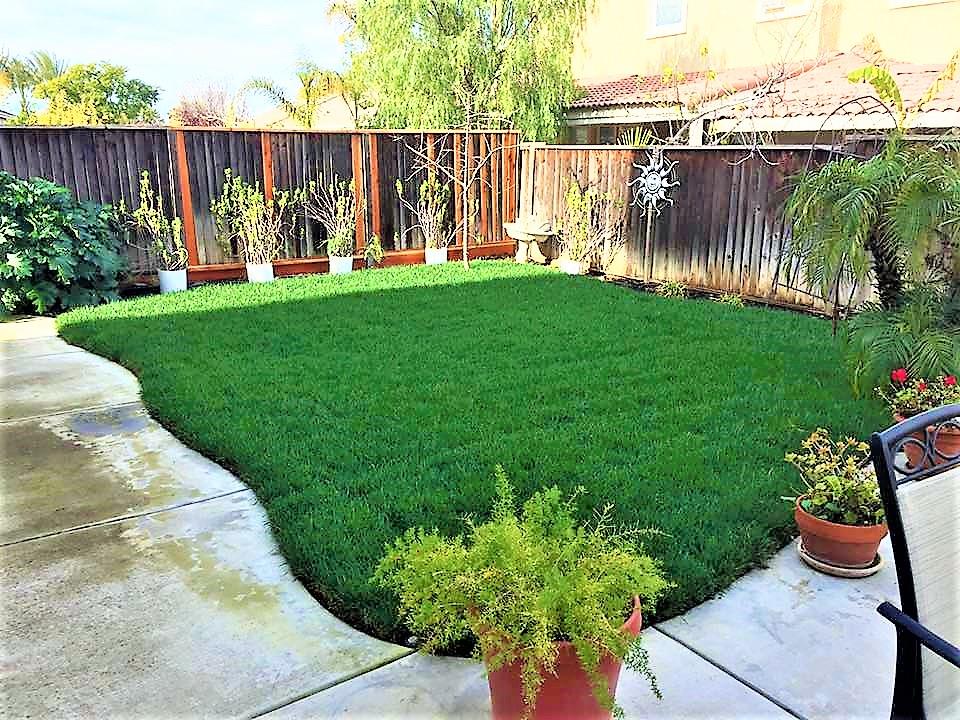 3532 Keystone Loop Discovery Bay, CA 94505 - Photo 26 of 37 a view of a backyard with a garden