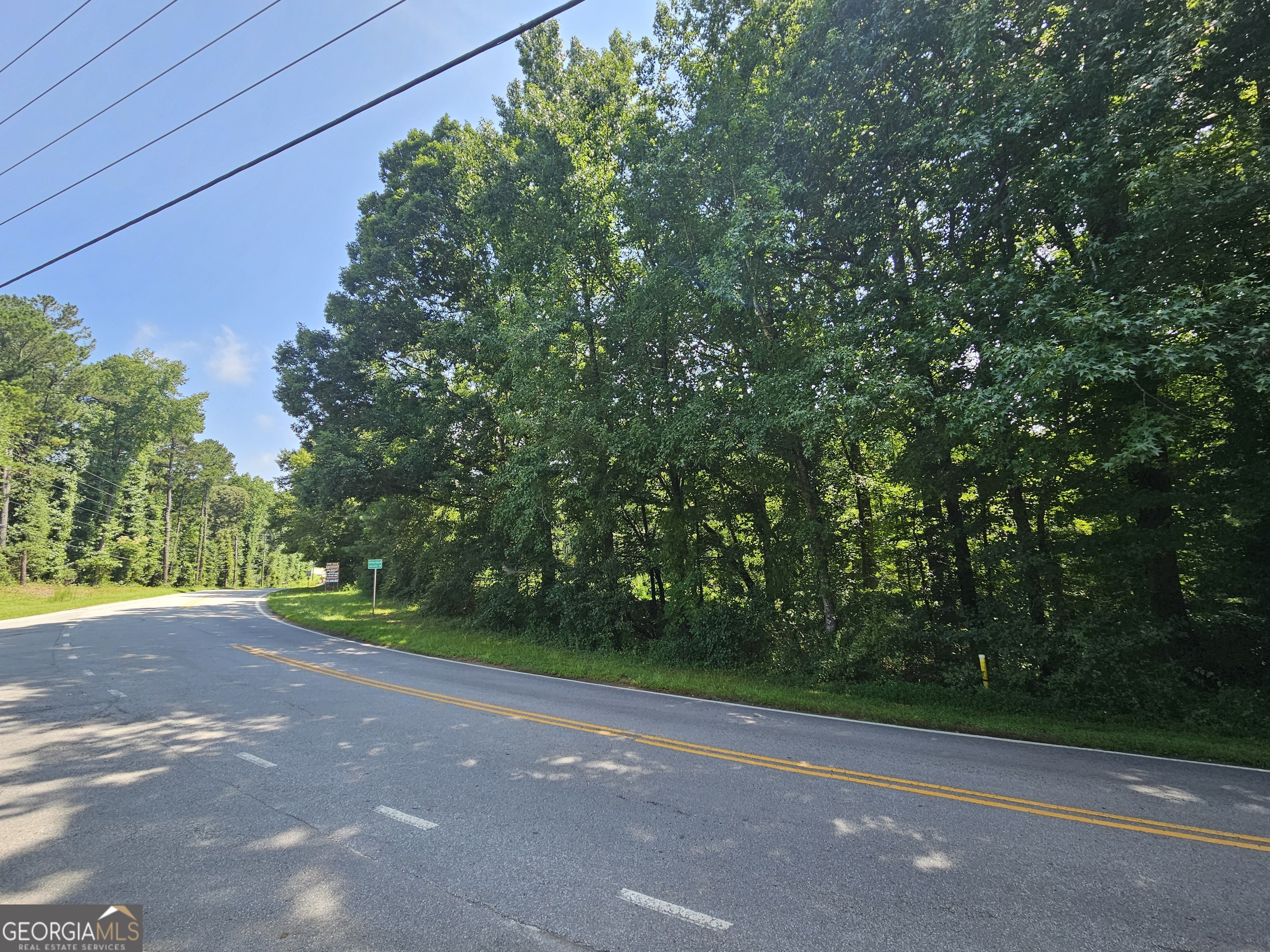 Lot 4 June Ivey Road Bethlehem, GA 30620 - Photo 4 of 18