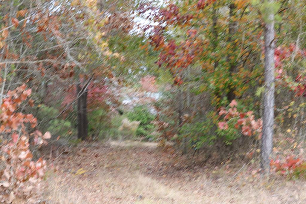 0 Wheeler Road Keysville, GA 30816 - Photo 1 of 30 Main View