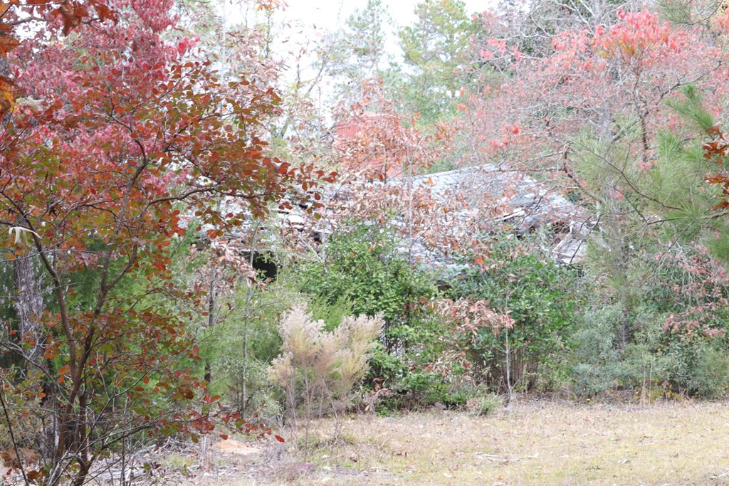 0 Wheeler Road Keysville, GA 30816 - Photo 12 of 30