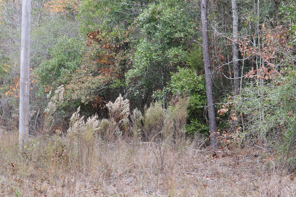 0 Wheeler Road Keysville, GA 30816 - Photo 16 of 30