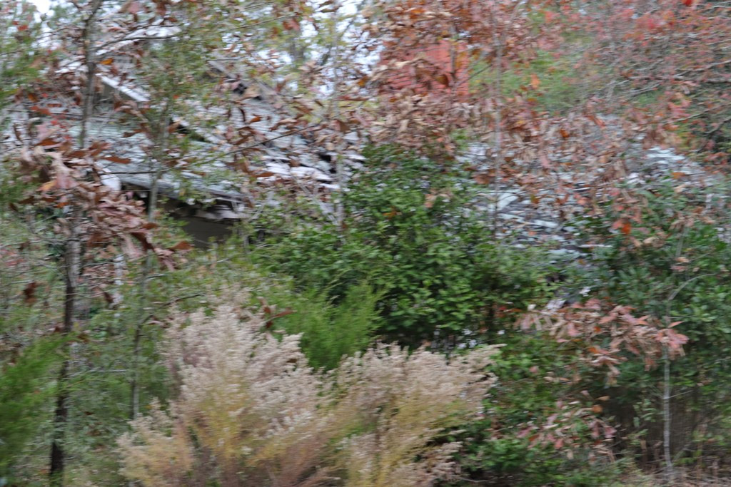 0 Wheeler Road Keysville, GA 30816 - Photo 20 of 30