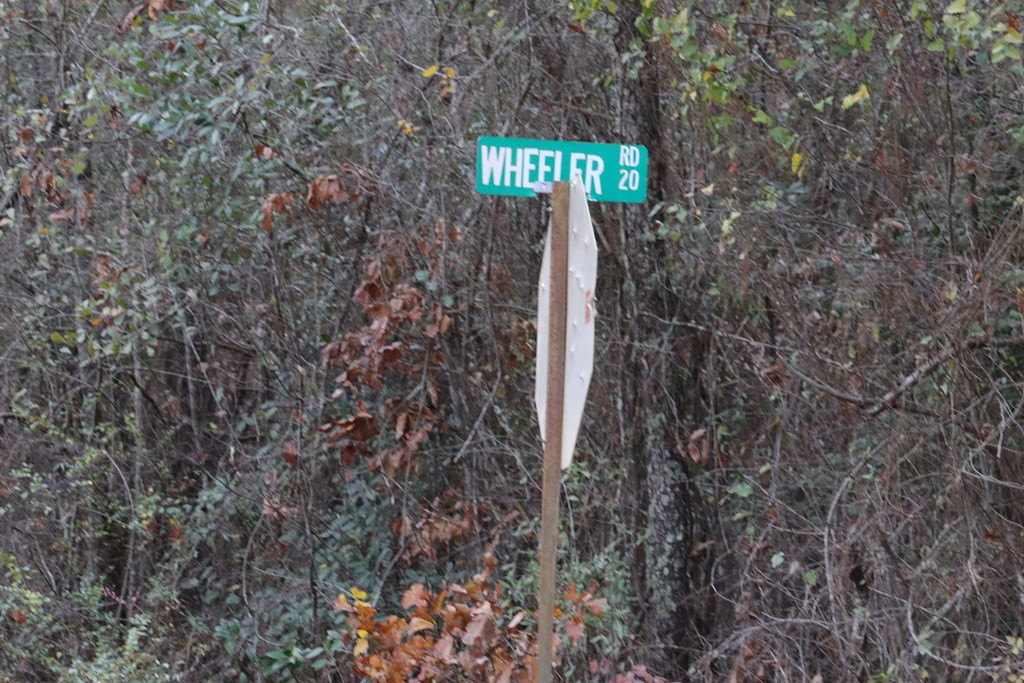 0 Wheeler Road Keysville, GA 30816 - Photo 2 of 30