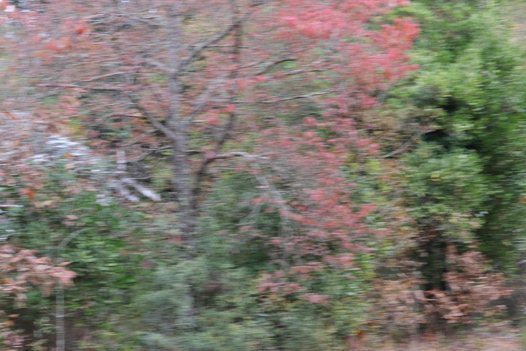 0 Wheeler Road Keysville, GA 30816 - Photo 21 of 30