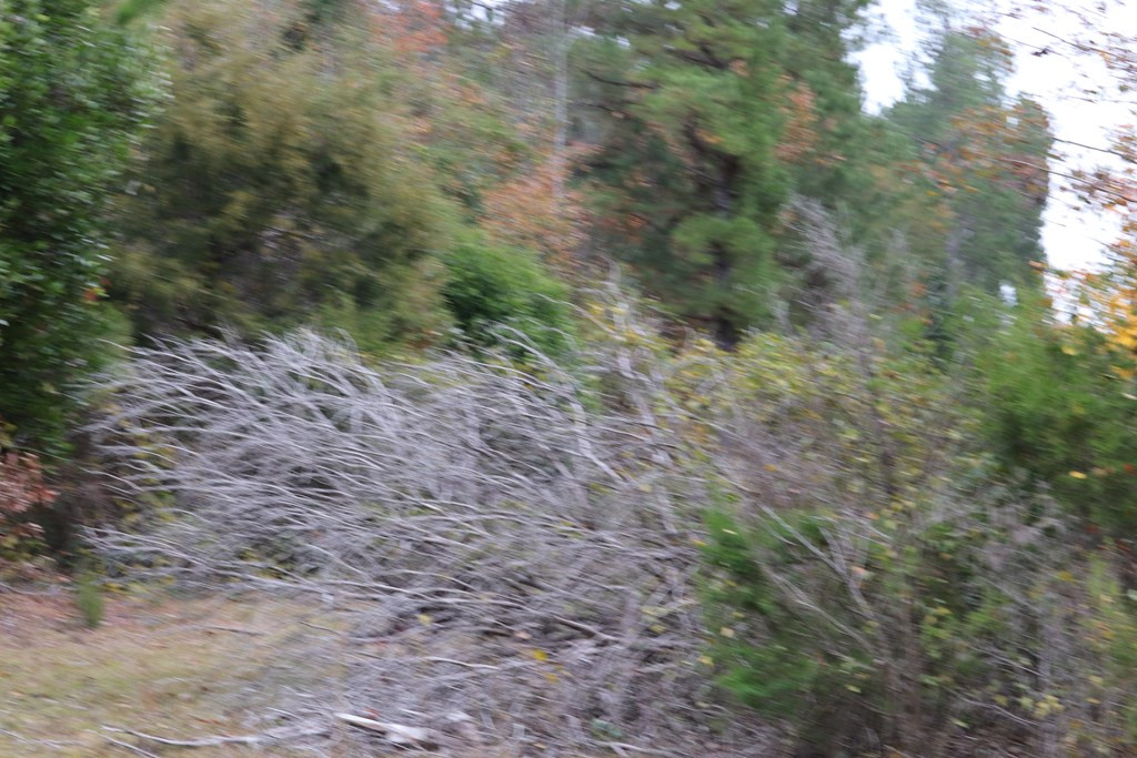 0 Wheeler Road Keysville, GA 30816 - Photo 22 of 30