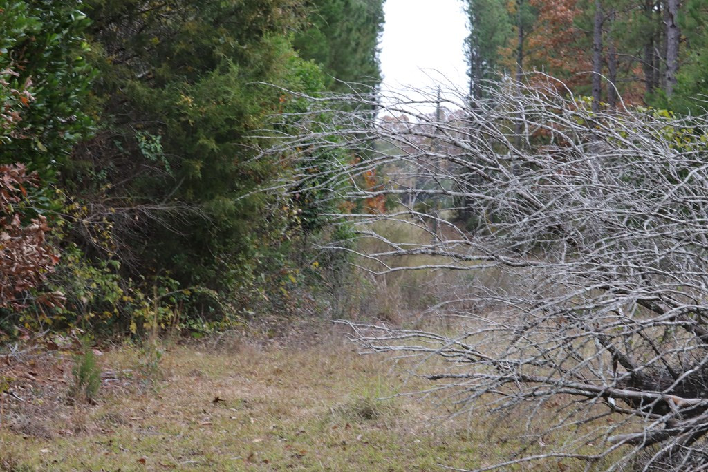 0 Wheeler Road Keysville, GA 30816 - Photo 25 of 30