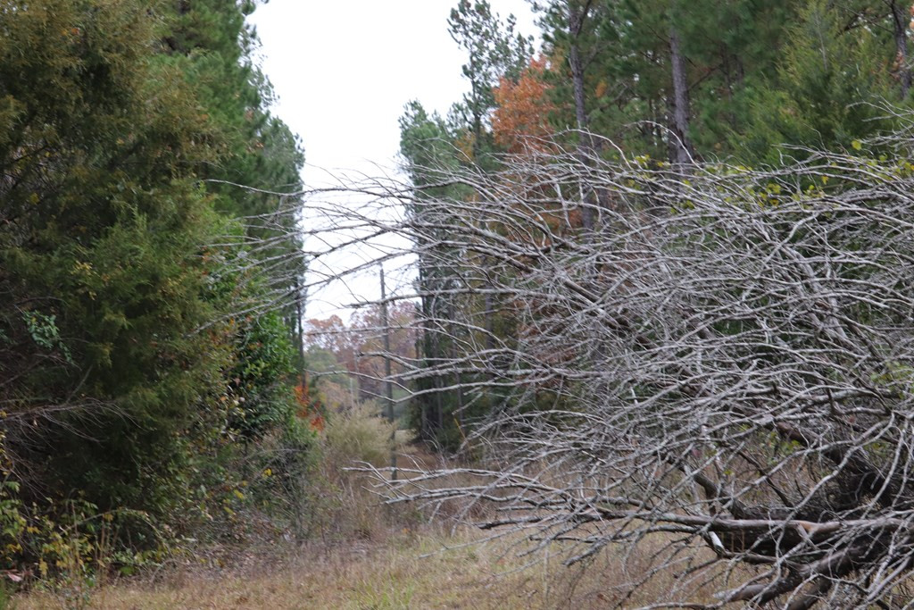 0 Wheeler Road Keysville, GA 30816 - Photo 26 of 30