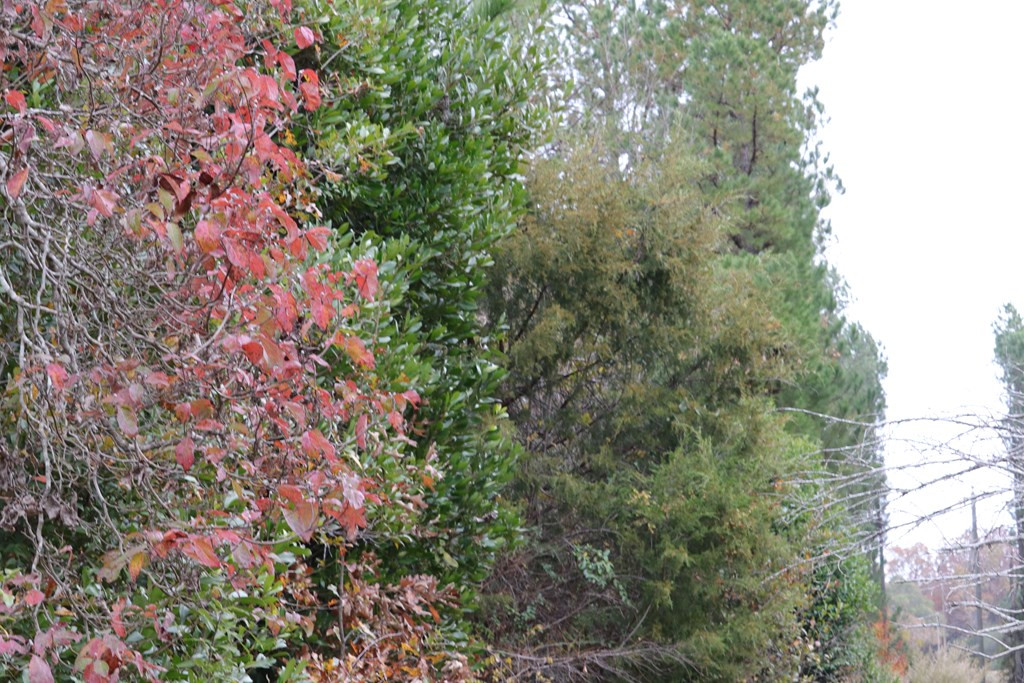 0 Wheeler Road Keysville, GA 30816 - Photo 27 of 30