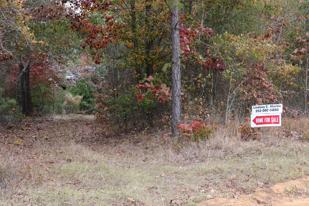 0 Wheeler Road Keysville, GA 30816 - Photo 29 of 30