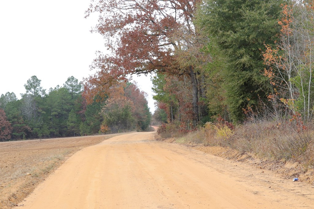 0 Wheeler Road Keysville, GA 30816 - Photo 6 of 30