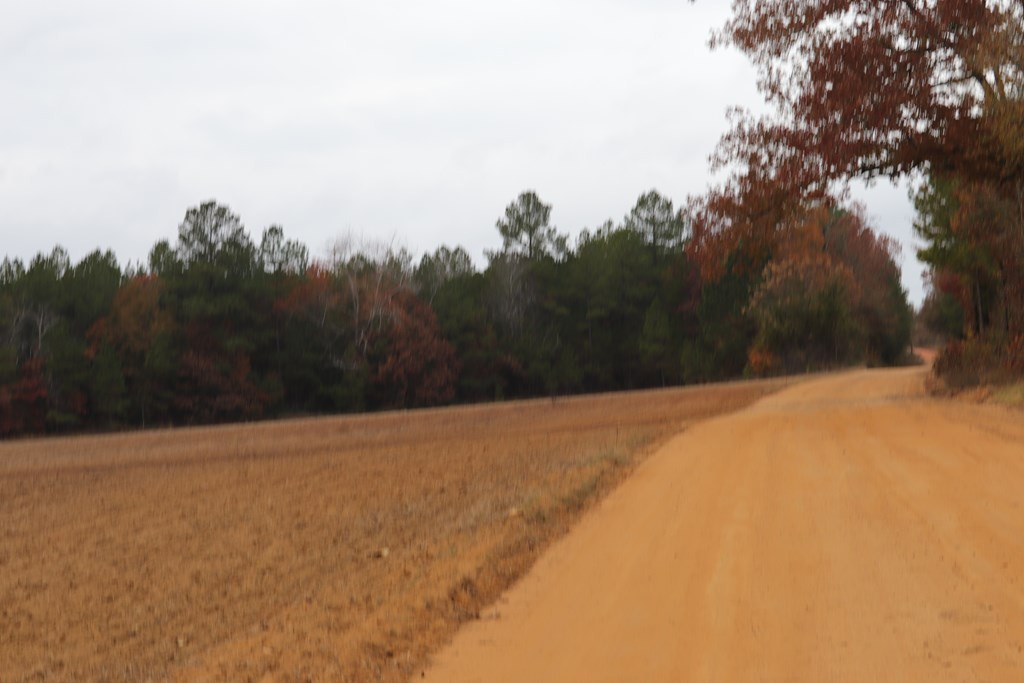 0 Wheeler Road Keysville, GA 30816 - Photo 7 of 30