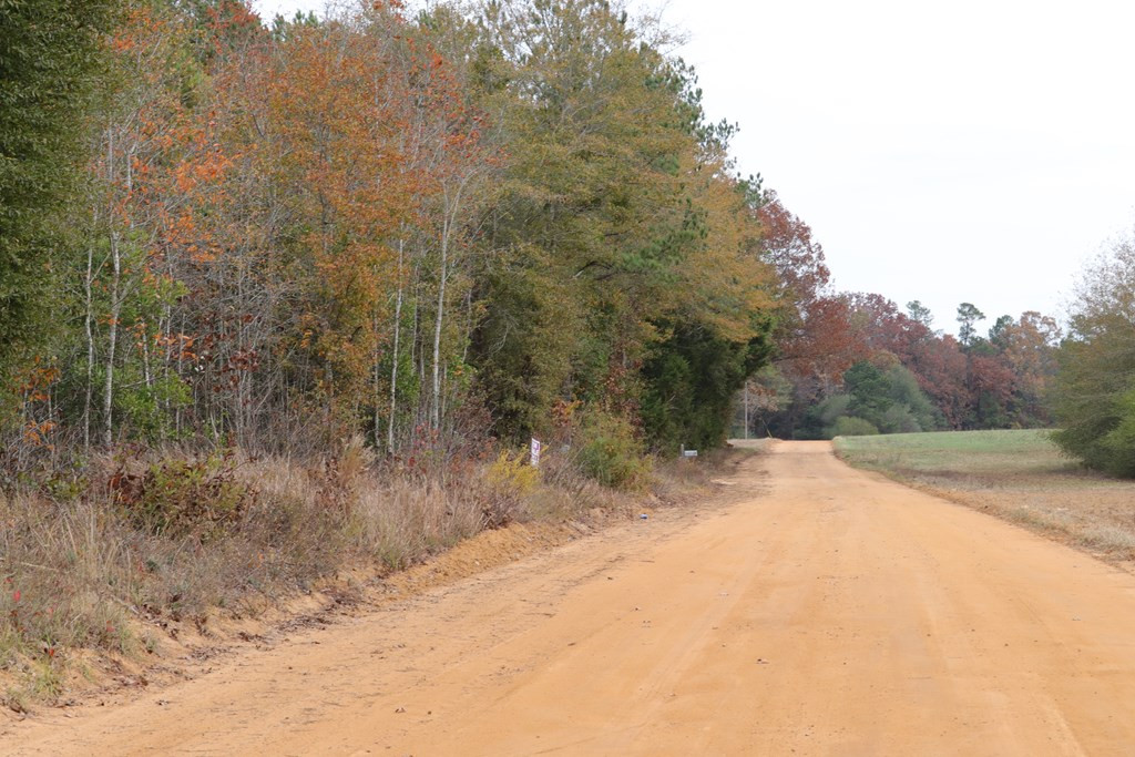 0 Wheeler Road Keysville, GA 30816 - Photo 9 of 30