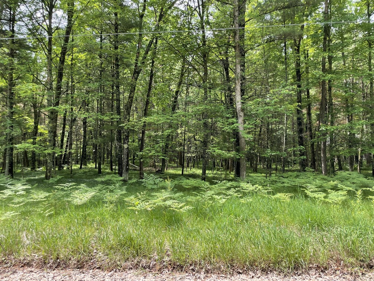 8725 West River Road Irons, MI 49644 - Photo 33 of 37