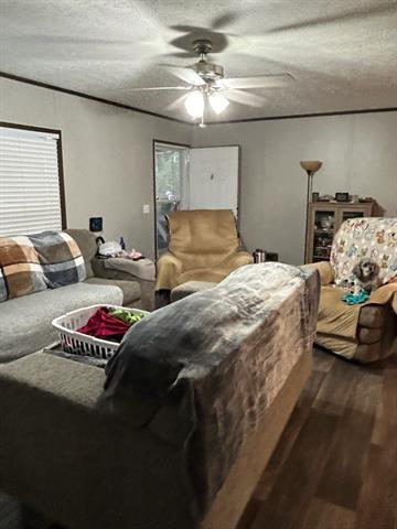 253 Carpenter Road Winnfield, LA 71483 - Photo 17 of 24