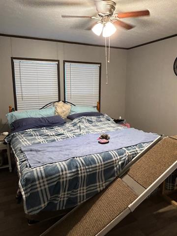 253 Carpenter Road Winnfield, LA 71483 - Photo 23 of 24