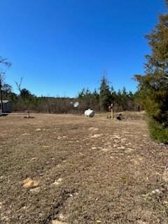 253 Carpenter Road Winnfield, LA 71483 - Photo 24 of 24