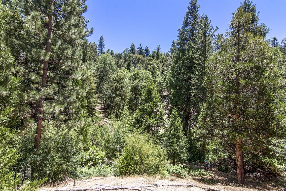 24625 Baldy Road Idyllwild, CA 92549 - Photo 19 of 80 a view of a forest with a tree