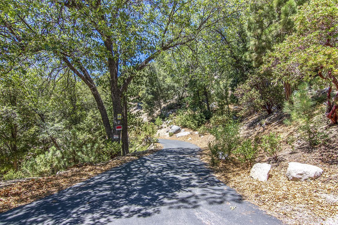 24625 Baldy Road Idyllwild, CA 92549 - Photo 2 of 80 a view of a yard with plants and trees