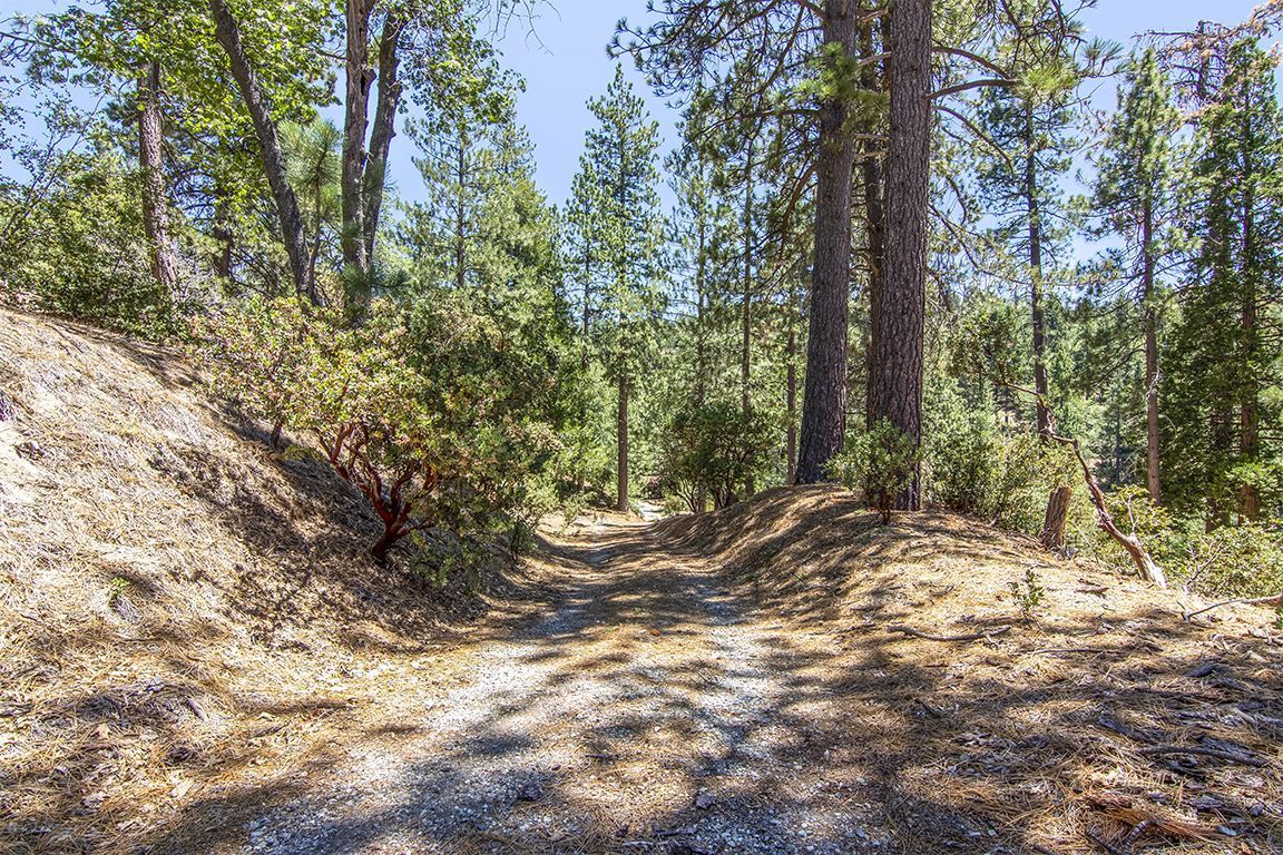 24625 Baldy Road Idyllwild, CA 92549 - Photo 3 of 80 Untitled