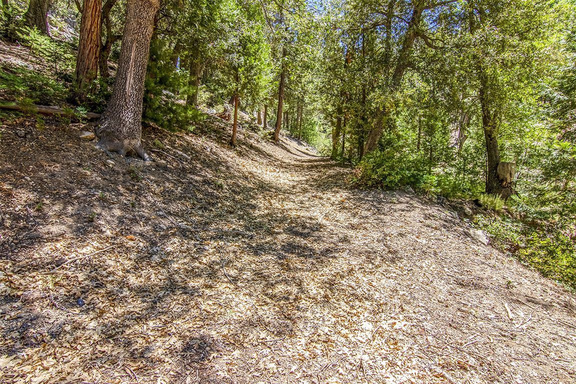 24625 Baldy Road Idyllwild, CA 92549 - Photo 62 of 80 Untitled