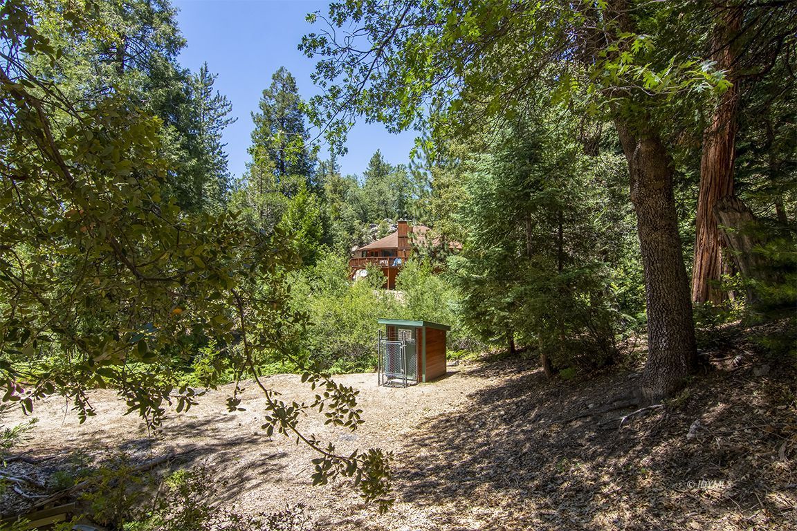 24625 Baldy Road Idyllwild, CA 92549 - Photo 63 of 80 a backyard of a house with a tree