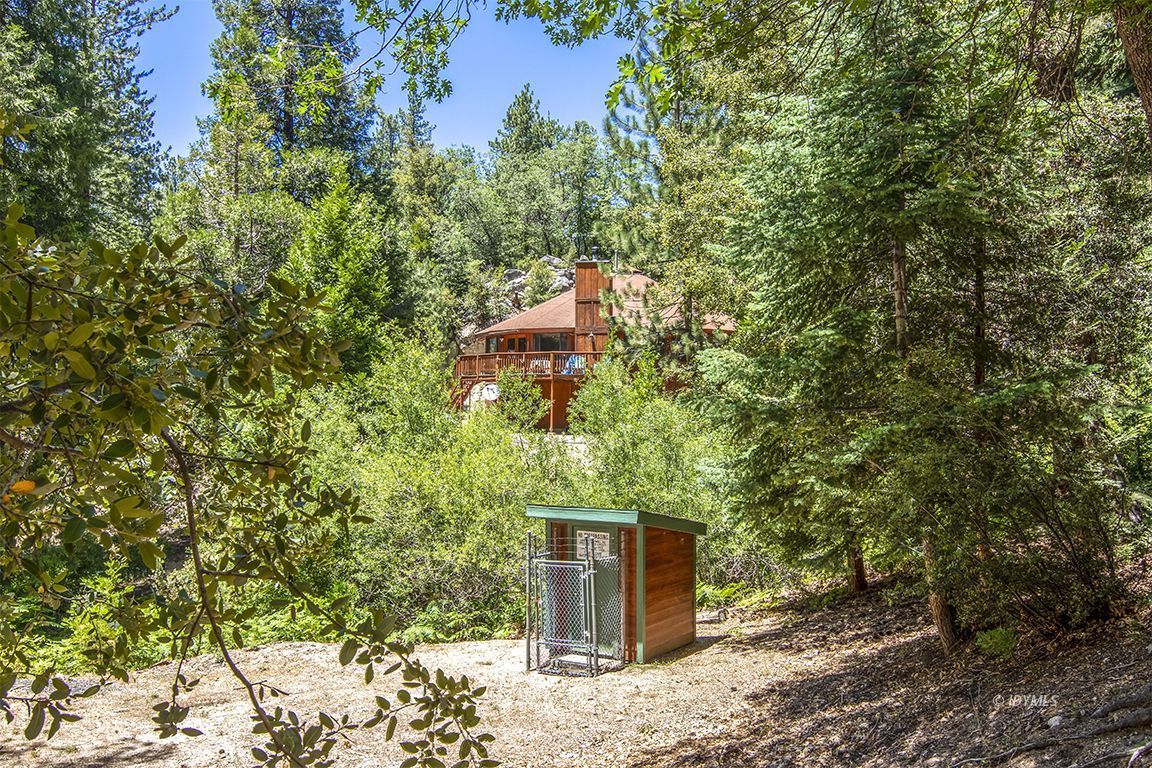 24625 Baldy Road Idyllwild, CA 92549 - Photo 64 of 80 a view of a outdoor space with a tree