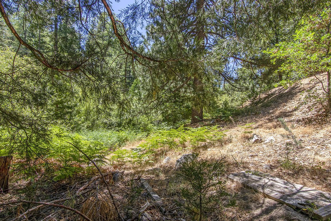 24625 Baldy Road Idyllwild, CA 92549 - Photo 67 of 80 a view of a yard with plants and trees