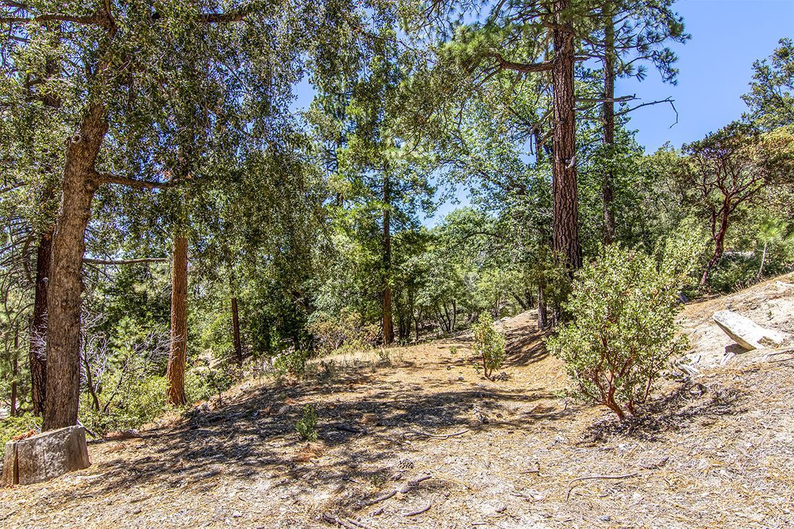 24625 Baldy Road Idyllwild, CA 92549 - Photo 69 of 80 Untitled