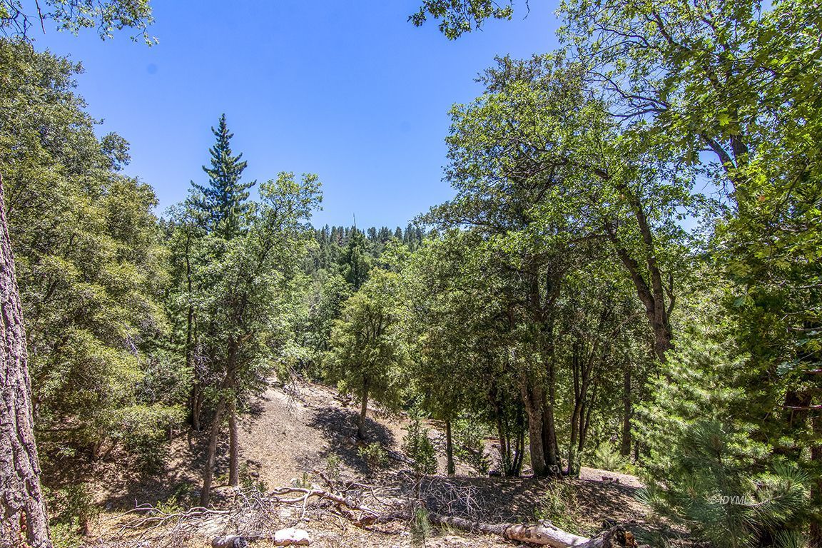 24625 Baldy Road Idyllwild, CA 92549 - Photo 70 of 80 Untitled