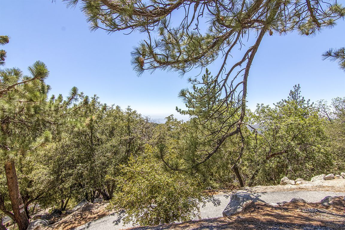 24625 Baldy Road Idyllwild, CA 92549 - Photo 72 of 80 Untitled