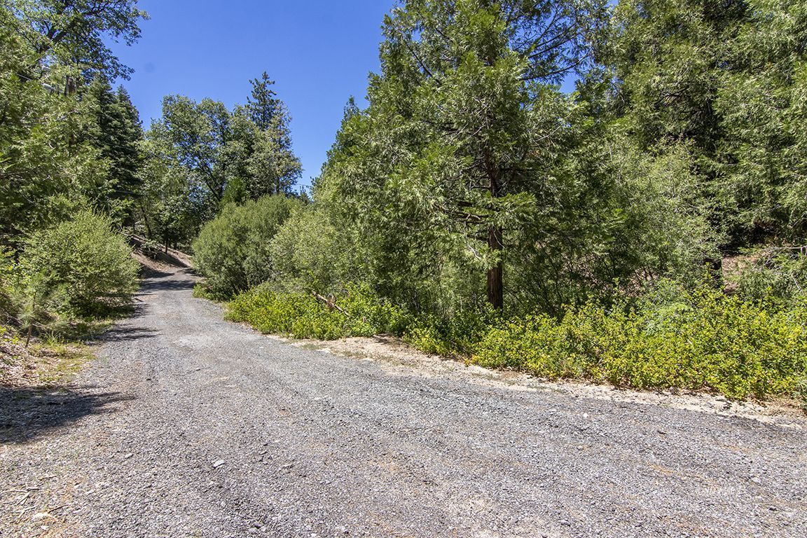 24625 Baldy Road Idyllwild, CA 92549 - Photo 79 of 80 a view of a road with plants and trees
