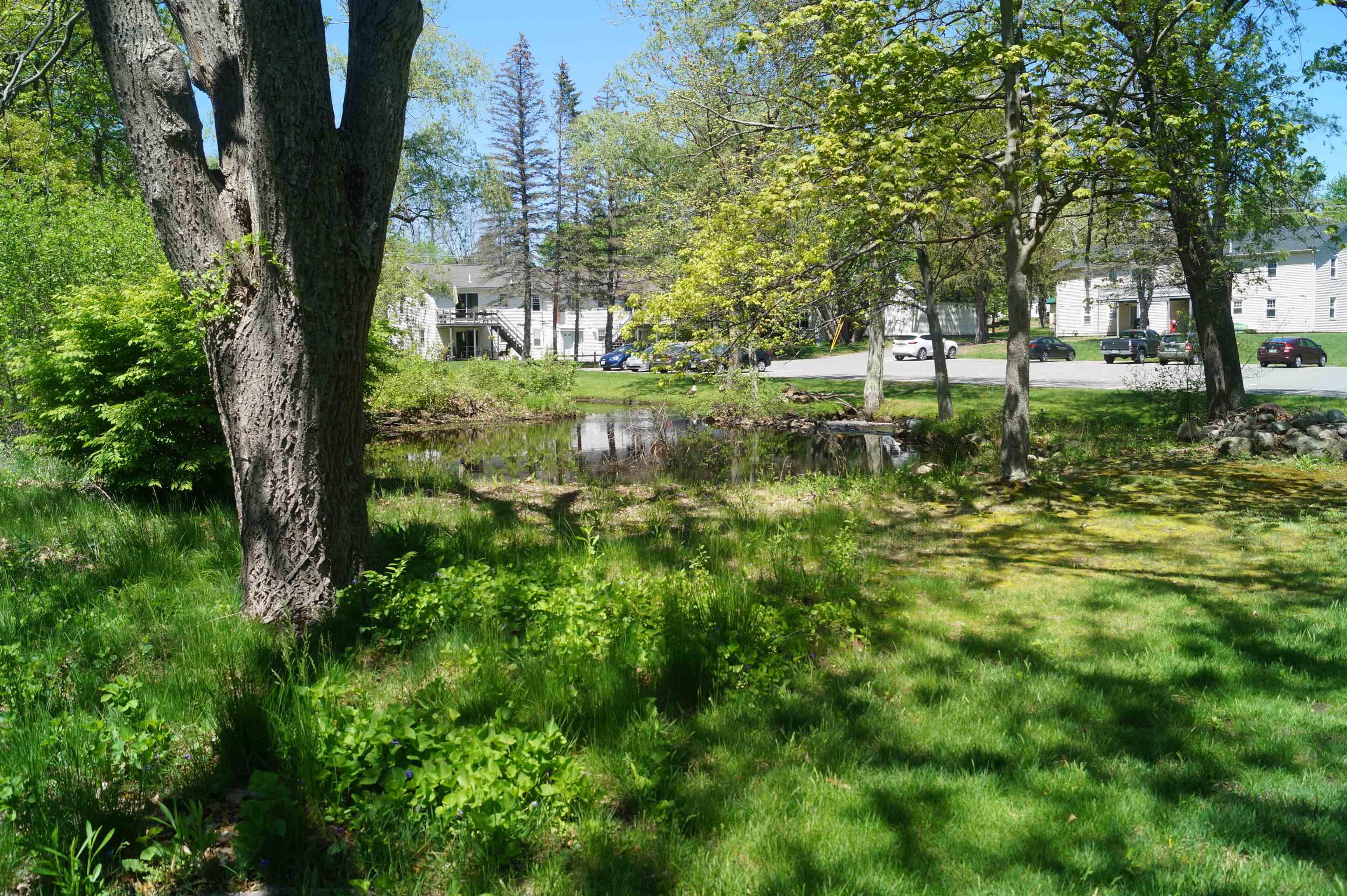 4 Ferland Drive Derry, NH 03038 - Photo 6 of 7