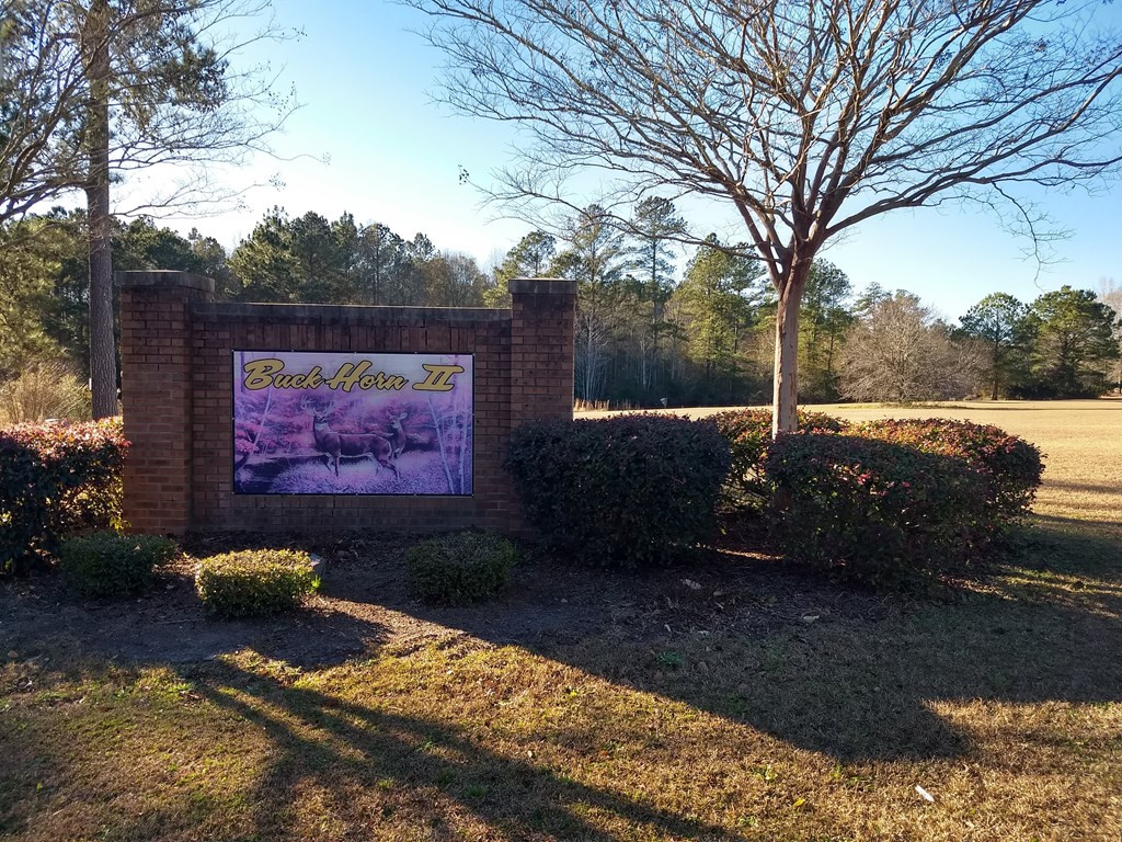 1015 McKenzie Road Manning, SC 29102 - Photo 5 of 9 Gallery Image 5