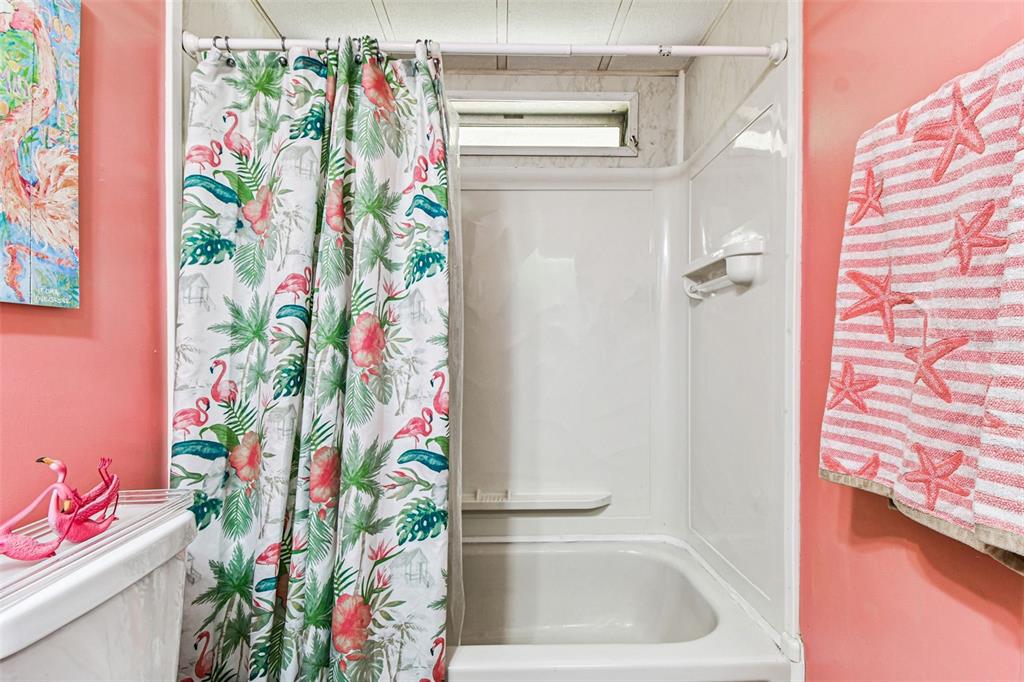 12501 Ulmerton Road, Unit 71 Largo, FL 33774 - Photo 30 of 75 a bathroom with a potted plant on the shower curtain