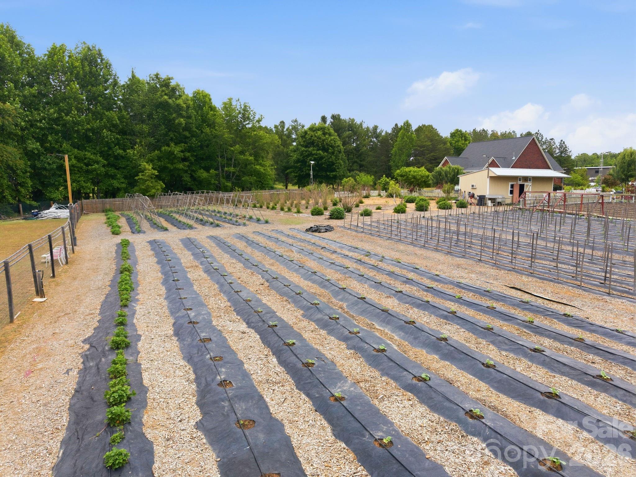 3120 Poole Road Salisbury, NC 28146 - Photo 24 of 48