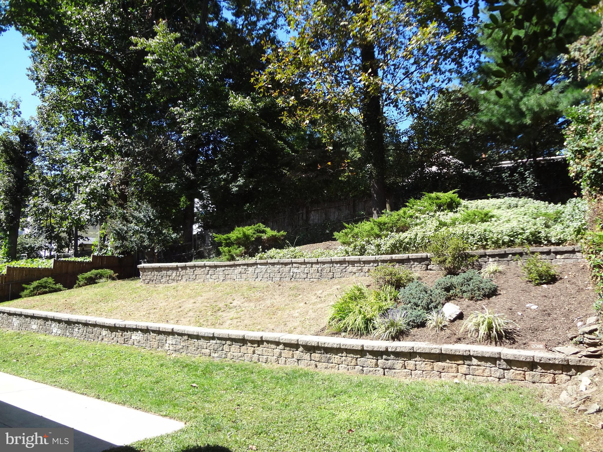 1616 Winding Waye Lane Silver Spring, MD 20902 - Photo 31 of 46 Rear Landscaping
