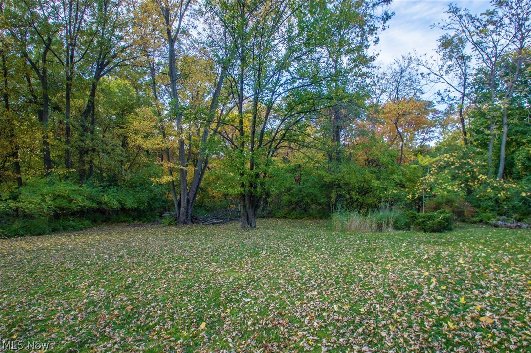6460 Brecksville Road Independence, OH 44131 - Photo 31 of 32 Fall View beautiful 1 acre lot