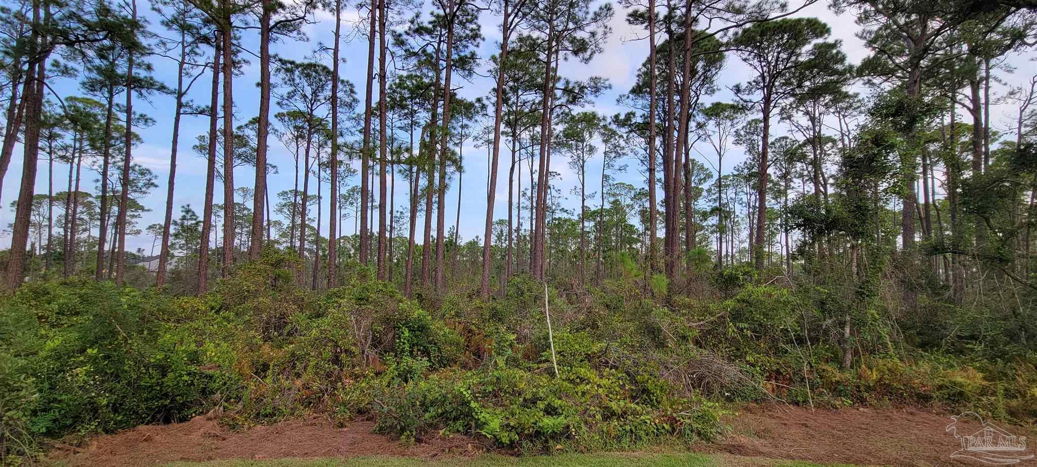 16339 Innerarity Point Road Pensacola, FL 32507 - Photo 21 of 25