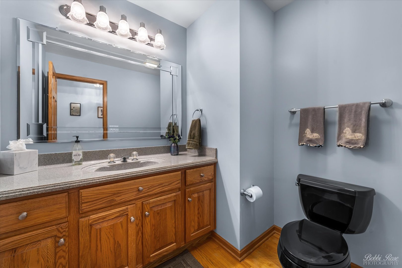 1303 Westley Lane West Dundee, IL 60118 - Photo 17 of 61 a bathroom with a toilet a sink and mirror