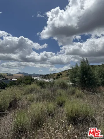 a view of a bunch of trees