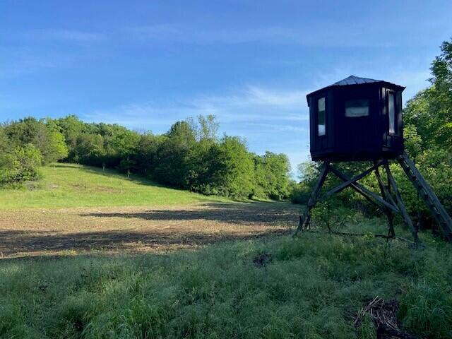 0 Mann Road Mount Olivet, KY 41064 - Photo 3 of 46
