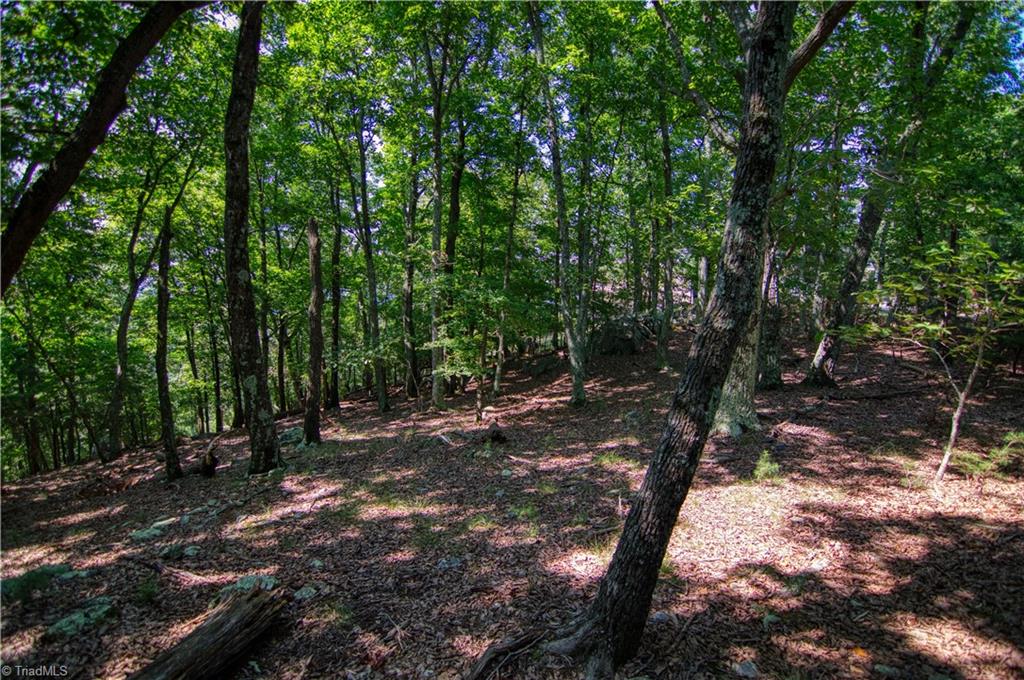 970 Sierra Trace Road Denton, NC 27239 - Photo 11 of 33 Gallery Image 11