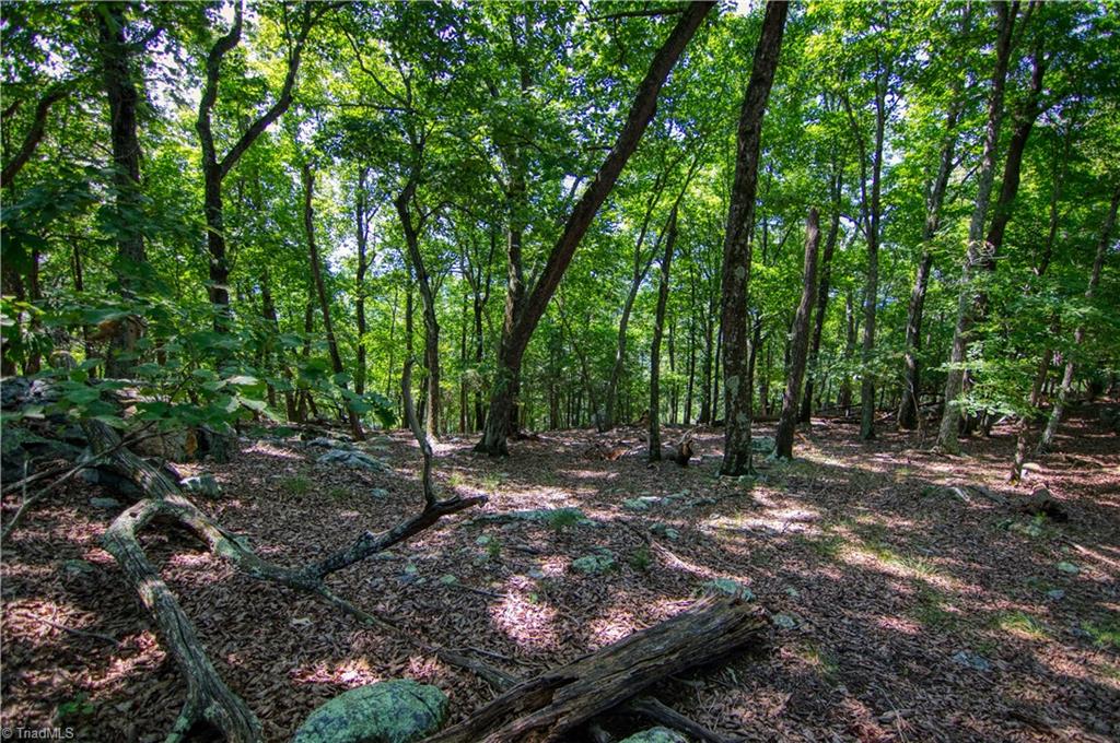 970 Sierra Trace Road Denton, NC 27239 - Photo 12 of 33 Gallery Image 12