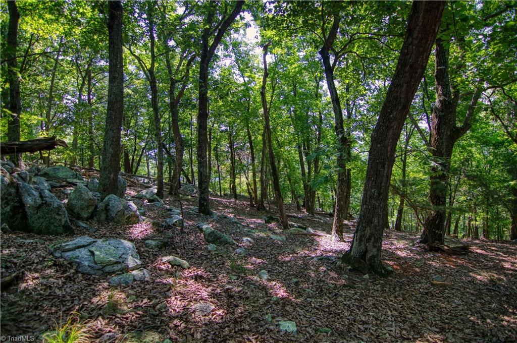 970 Sierra Trace Road Denton, NC 27239 - Photo 13 of 33 Gallery Image 13