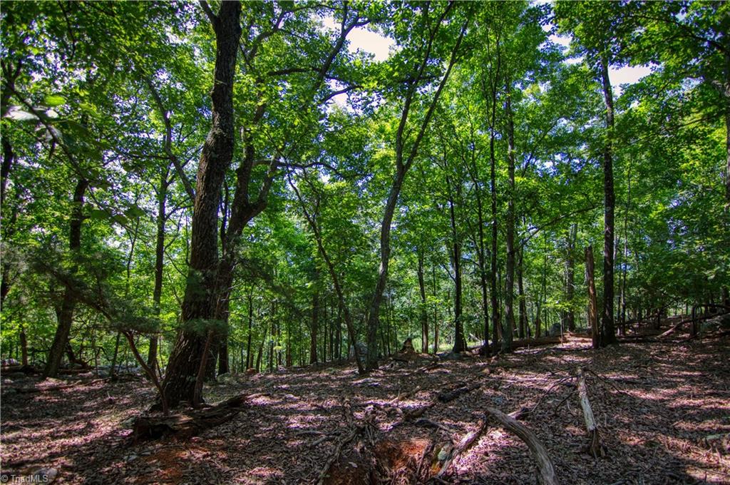970 Sierra Trace Road Denton, NC 27239 - Photo 14 of 33 Gallery Image 14