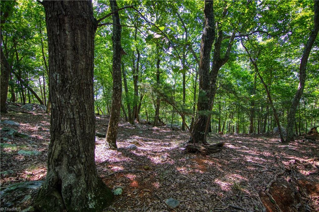 970 Sierra Trace Road Denton, NC 27239 - Photo 15 of 33 Gallery Image 15