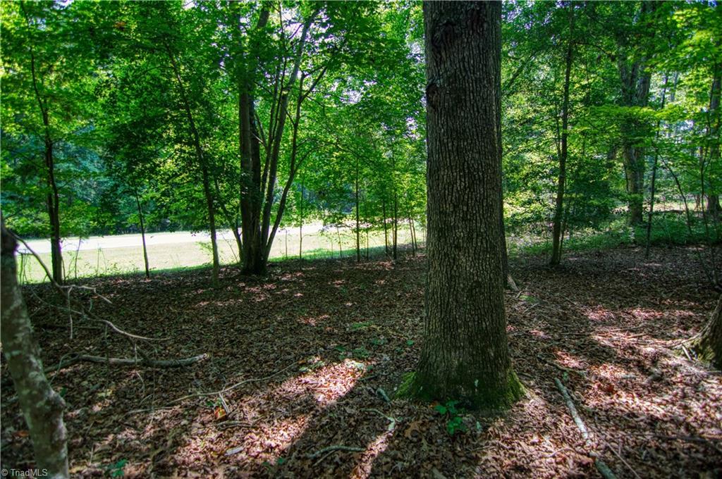 970 Sierra Trace Road Denton, NC 27239 - Photo 16 of 33 Gallery Image 16