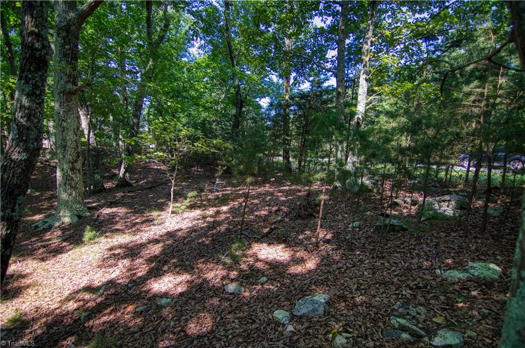 970 Sierra Trace Road Denton, NC 27239 - Photo 10 of 33 Gallery Image 10