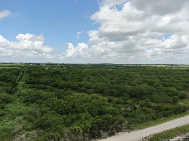 a view of a big yard with lots of trees