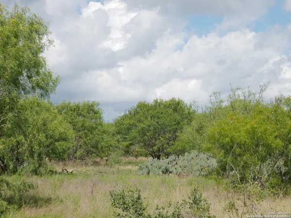 a view of a lake from a yard